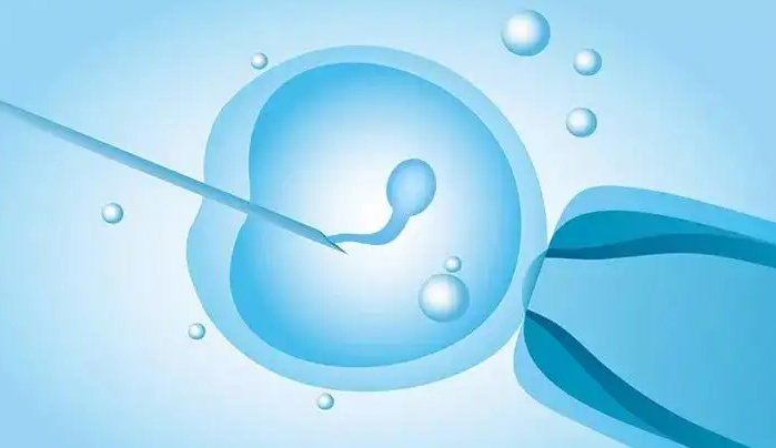 宜春借卵试管助孕：在中国用借来的卵子生孩子需要多少钱？里面有详细的费用说明